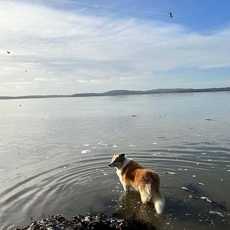 Tobernaglough Wexford Pet Friendly Country B&B Ramsgrange Экстерьер фото