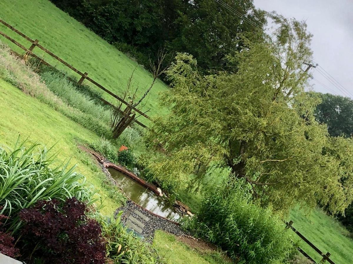 Tobernaglough Wexford Pet Friendly Country B&B Ramsgrange Экстерьер фото
