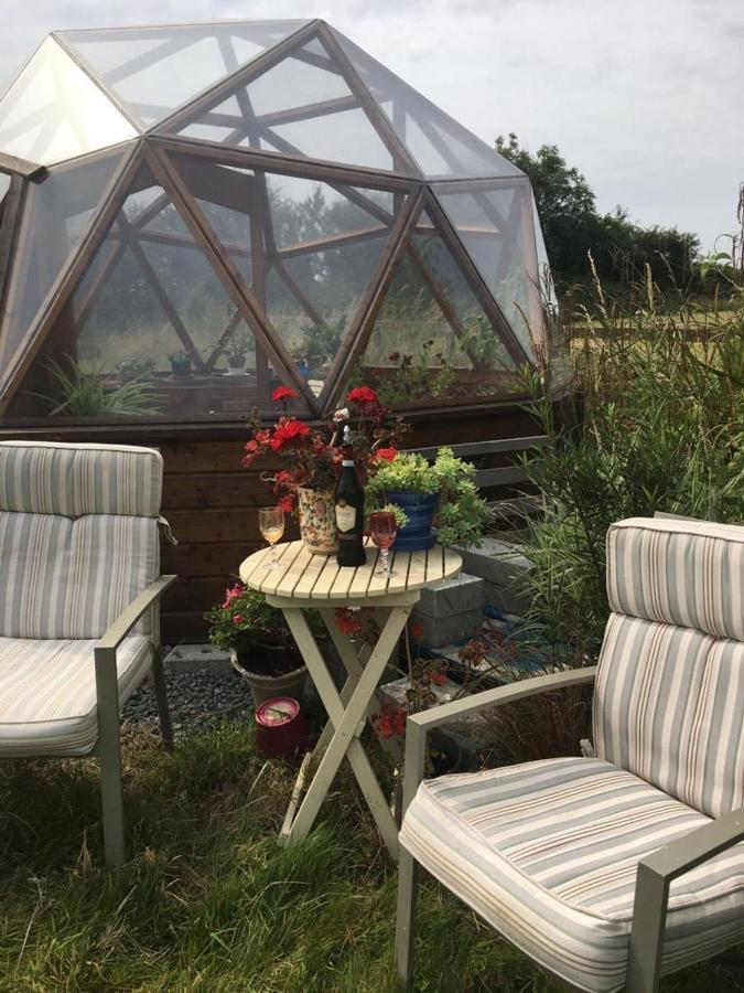 Tobernaglough Wexford Pet Friendly Country B&B Ramsgrange Экстерьер фото
