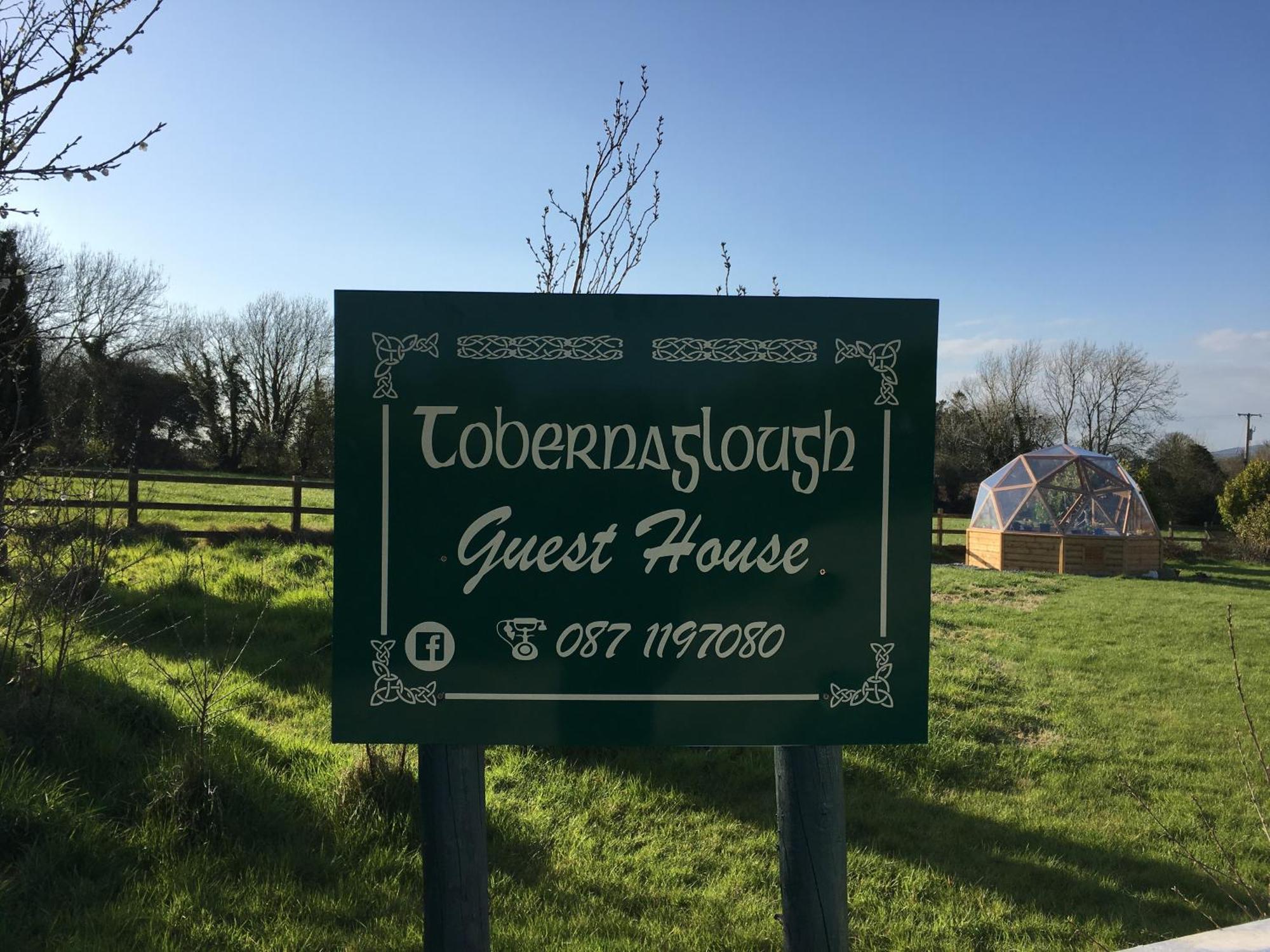 Tobernaglough Wexford Pet Friendly Country B&B Ramsgrange Экстерьер фото