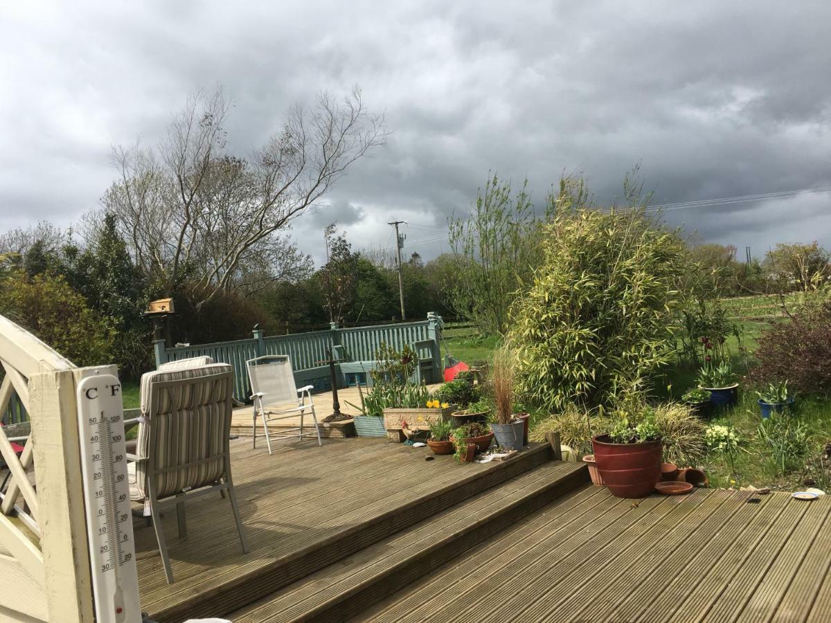 Tobernaglough Wexford Pet Friendly Country B&B Ramsgrange Экстерьер фото