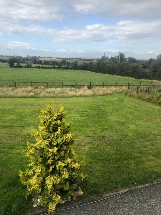 Tobernaglough Wexford Pet Friendly Country B&B Ramsgrange Экстерьер фото