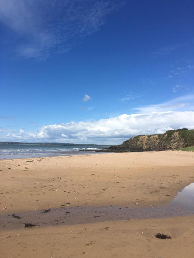Tobernaglough Wexford Pet Friendly Country B&B Ramsgrange Экстерьер фото